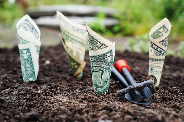money planted in the ground showing savings