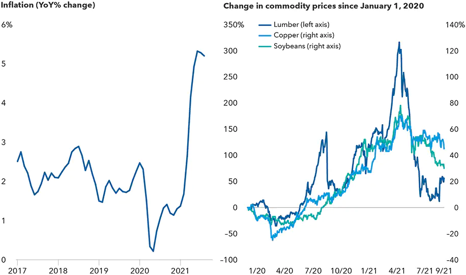 chart showing inflation cpi versus commodity